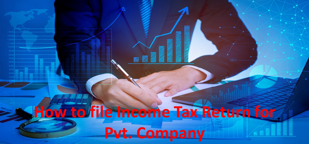 Annual Income Tax Filing Pvt. Ltd. Company
