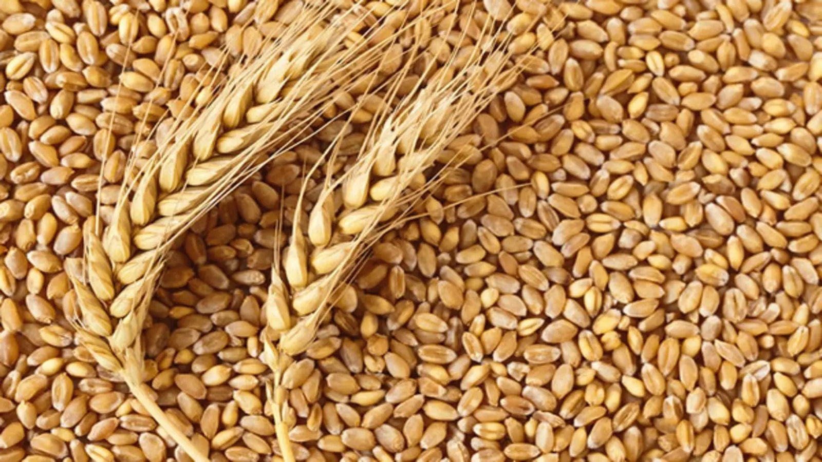 Saudi Arabia issues tender to buy estimated 715000 T wheat